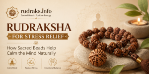 uploads/blog/38138300855316a033015bc80drudraksha for stress.png